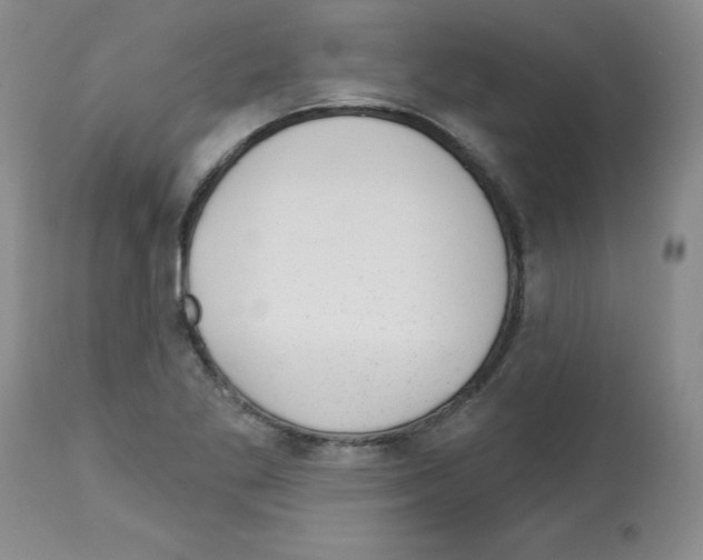 X0000112741269200910011212