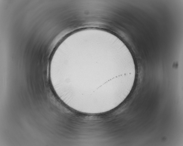 X0000112741275200910011212