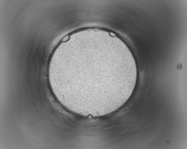 X0000112741279200910011212