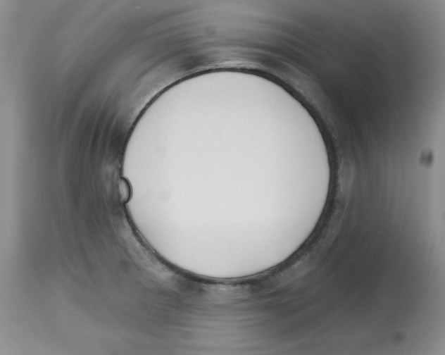 X0000112741281200910011212