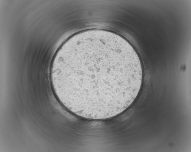 X0000112741283200910011212