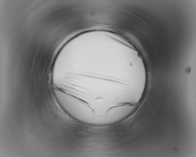 X0000112741284200910011212