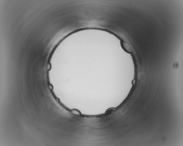 X0000112741285200910011212