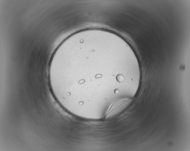 X0000112741287200910011212