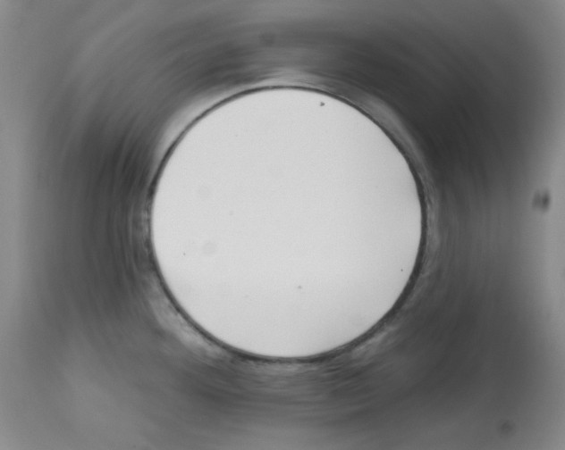 X0000112741292200910011212