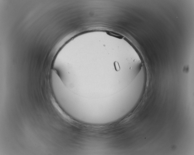 X0000112741293200910011212