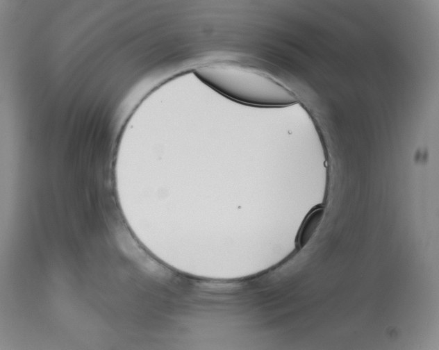 X0000112741296200910011212