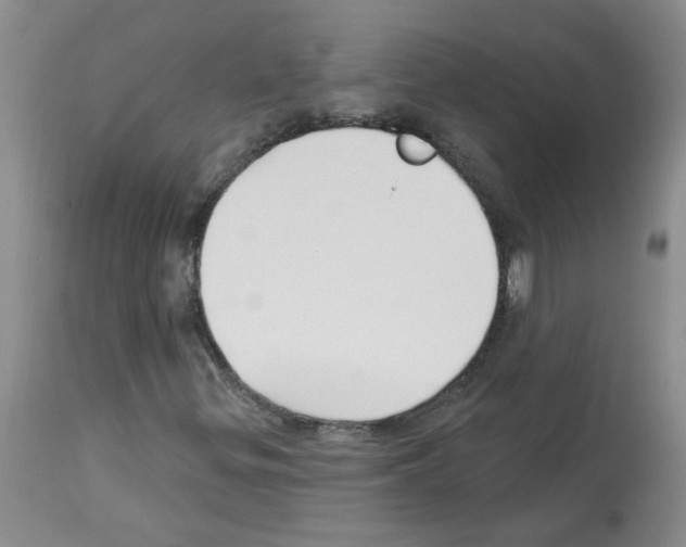 X0000112741299200910011211