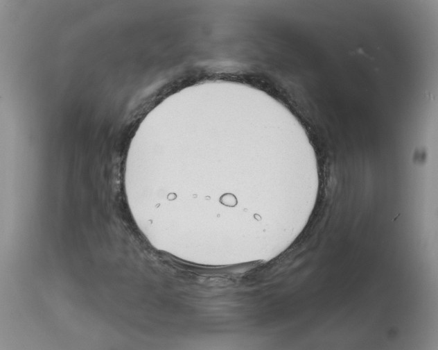 X0000112741301200910011211