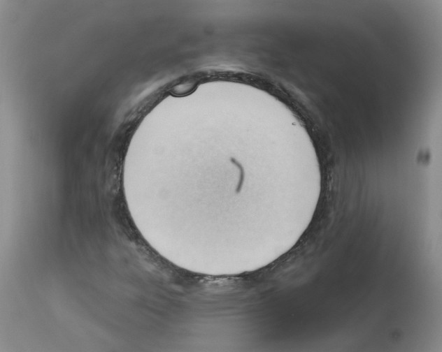 X0000112741303200910011211