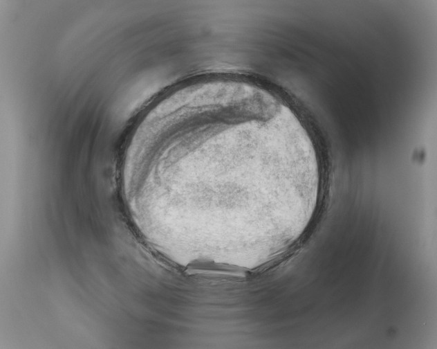 X0000112741306200910011211