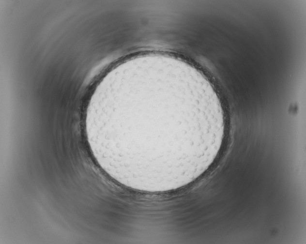 X0000112741307200910011211