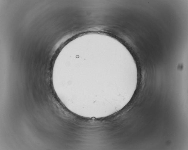 X0000112741308200910011211