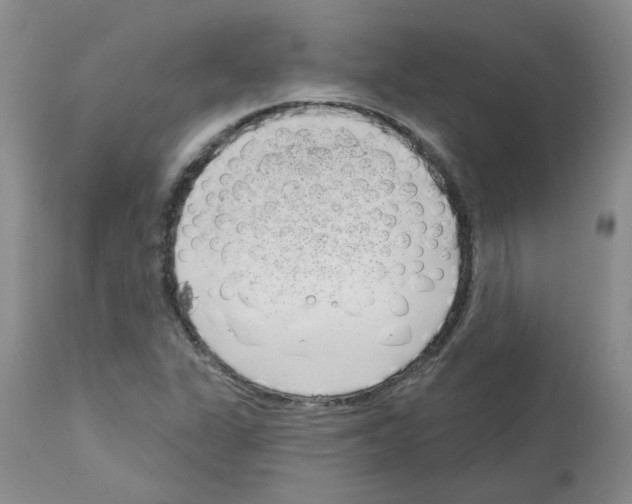 X0000112741311200910011211