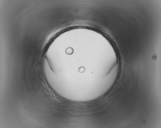 X0000112741312200910011211