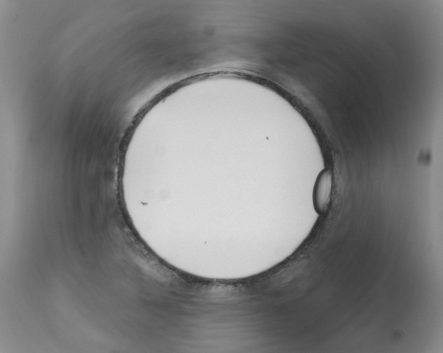 X0000112741316200910011211