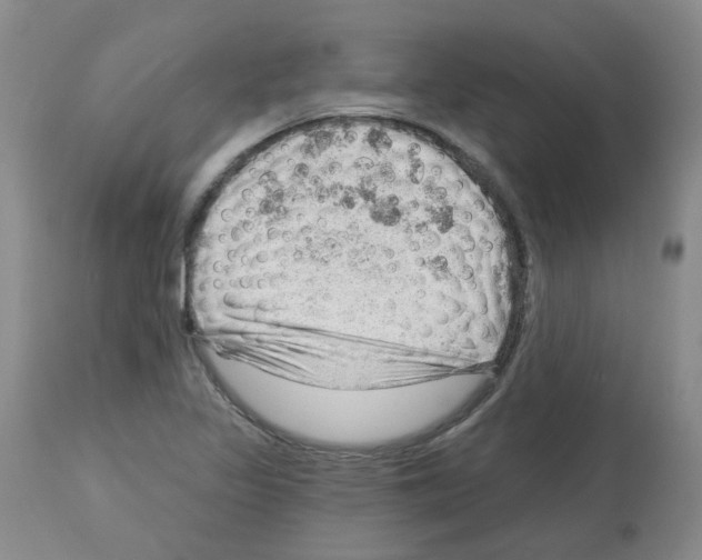 X0000112741317200910011211