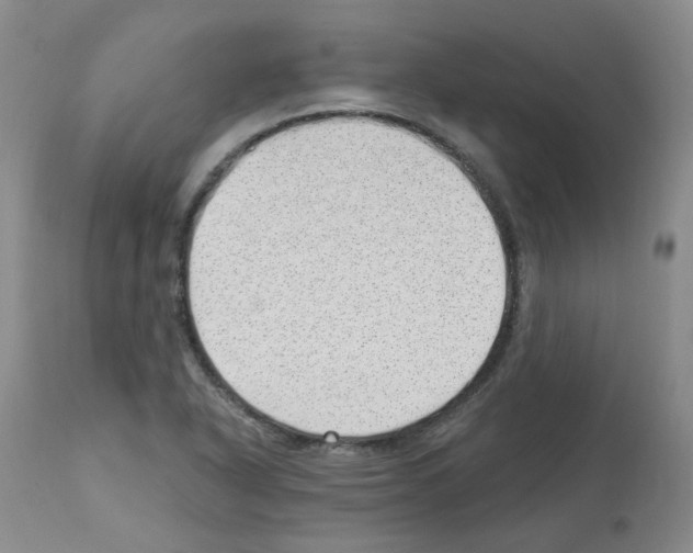 X0000112741318200910011211