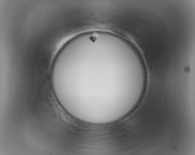 X0000112741320200910011212