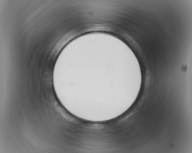 X0000112741321200910011212