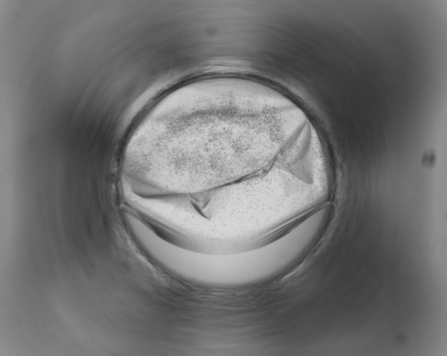 X0000112741325200910011212