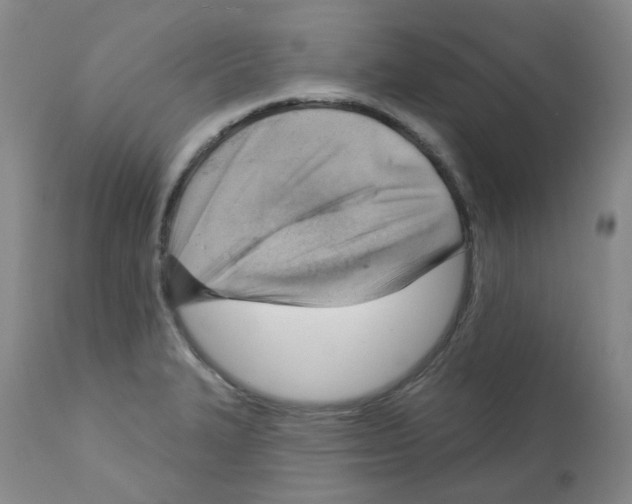 X0000112741327200910011212