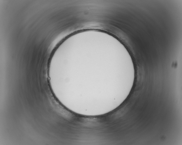 X0000112741328200910011212