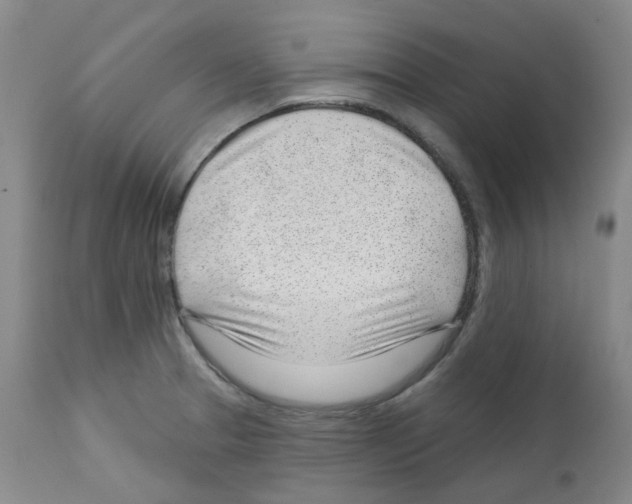 X0000112741329200910011212