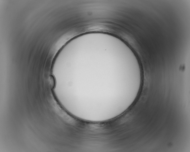 X0000112741330200910011212