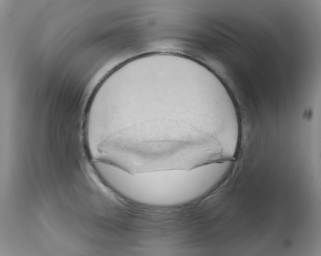 X0000112741331200910011212