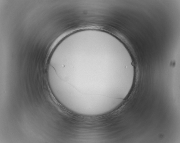 X0000112741332200910011212