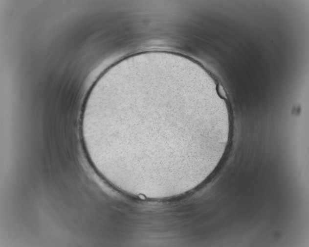 X0000112741333200910011212