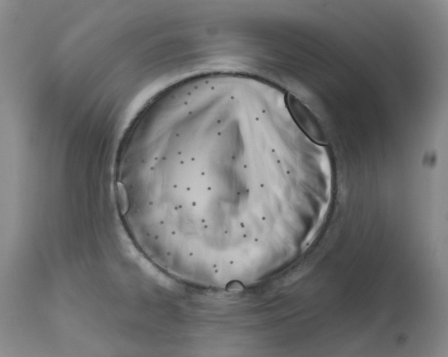 X0000112741334200910011212