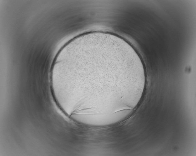 X0000112741335200910011212