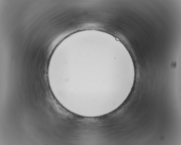 X0000112741336200910011212