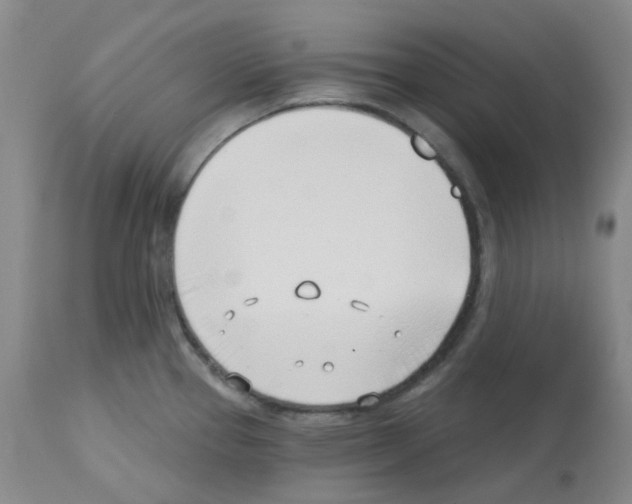 X0000112741337200910011212