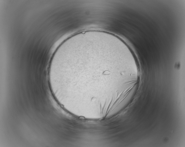 X0000112741341200910011212