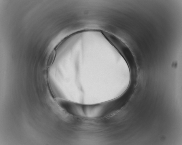 X0000112741342200910011212