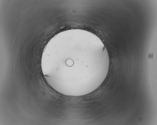 X0000112741345200910011211