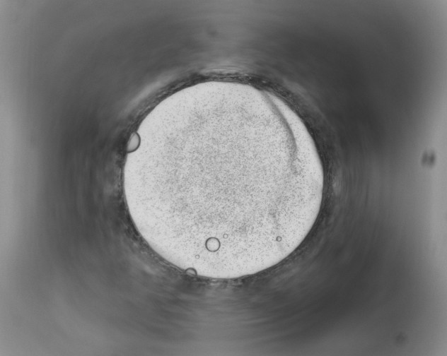 X0000112741350200910011211