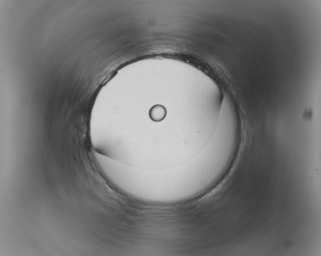 X0000112741353200910011211