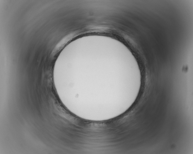 X0000112741354200910011211