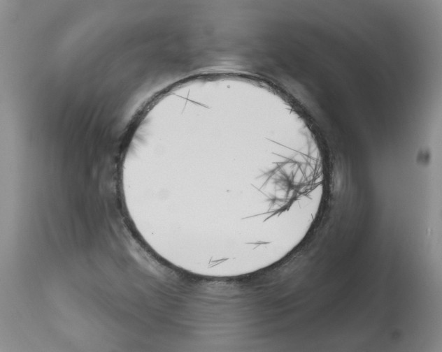 X0000112741356200910011211