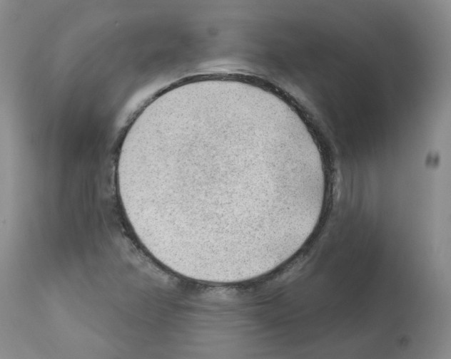 X0000112741358200910011211