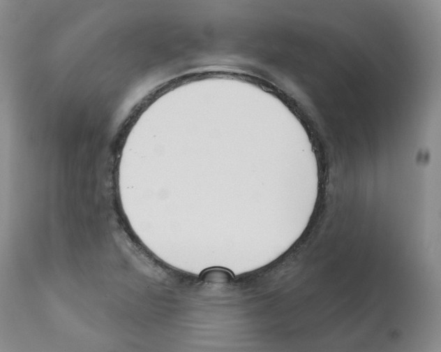 X0000112741360200910011211