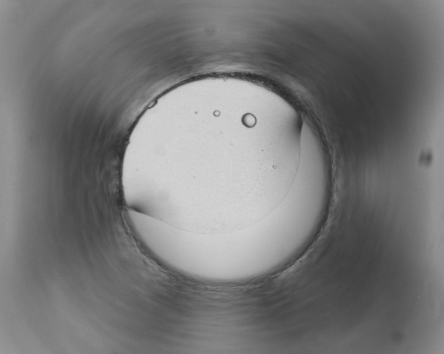 X0000112741361200910011211