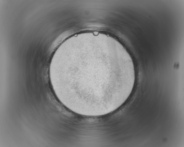 X0000112741362200910011211