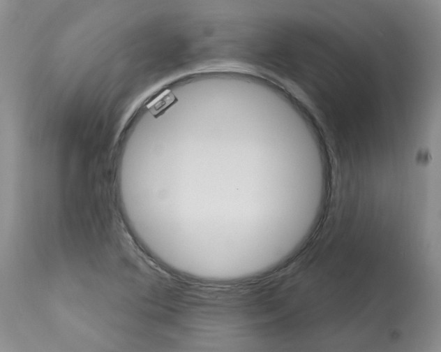 X0000112741364200910011211