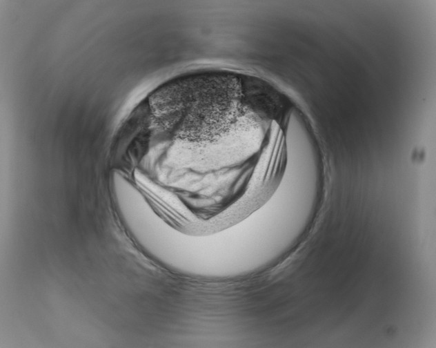 X0000112741365200910011211