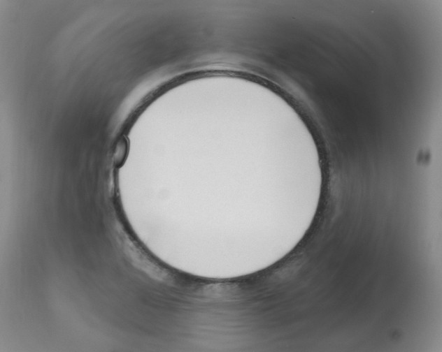 X0000112741368200910011211